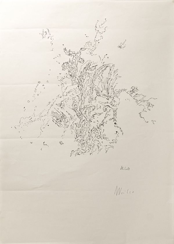 Max Weiler "Naturstück" 1980 - Lithografie - 64 x 46cm