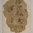 Zeno Wolf "Serpenspellis IX" Materialdruck mit Schlangenhaut (Anaconda) 20 x 15 cm